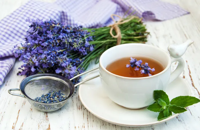 فواید چای اسطوخودوس 