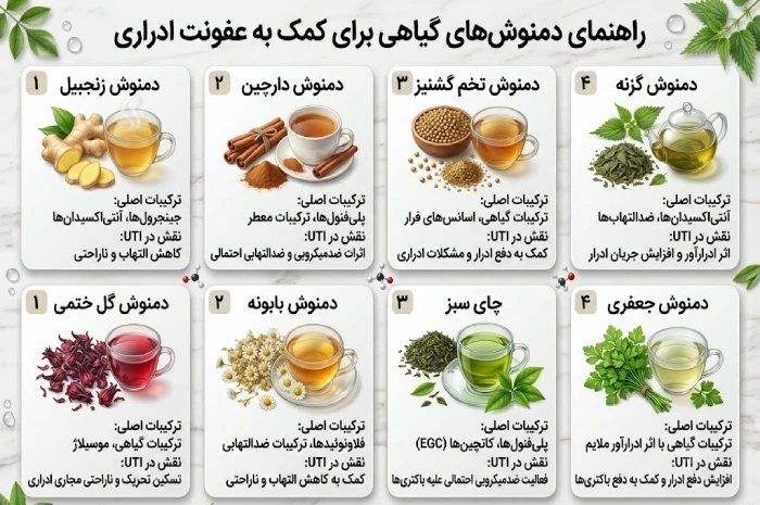 بهترین داروی گیاهی برای عفونت ادراری