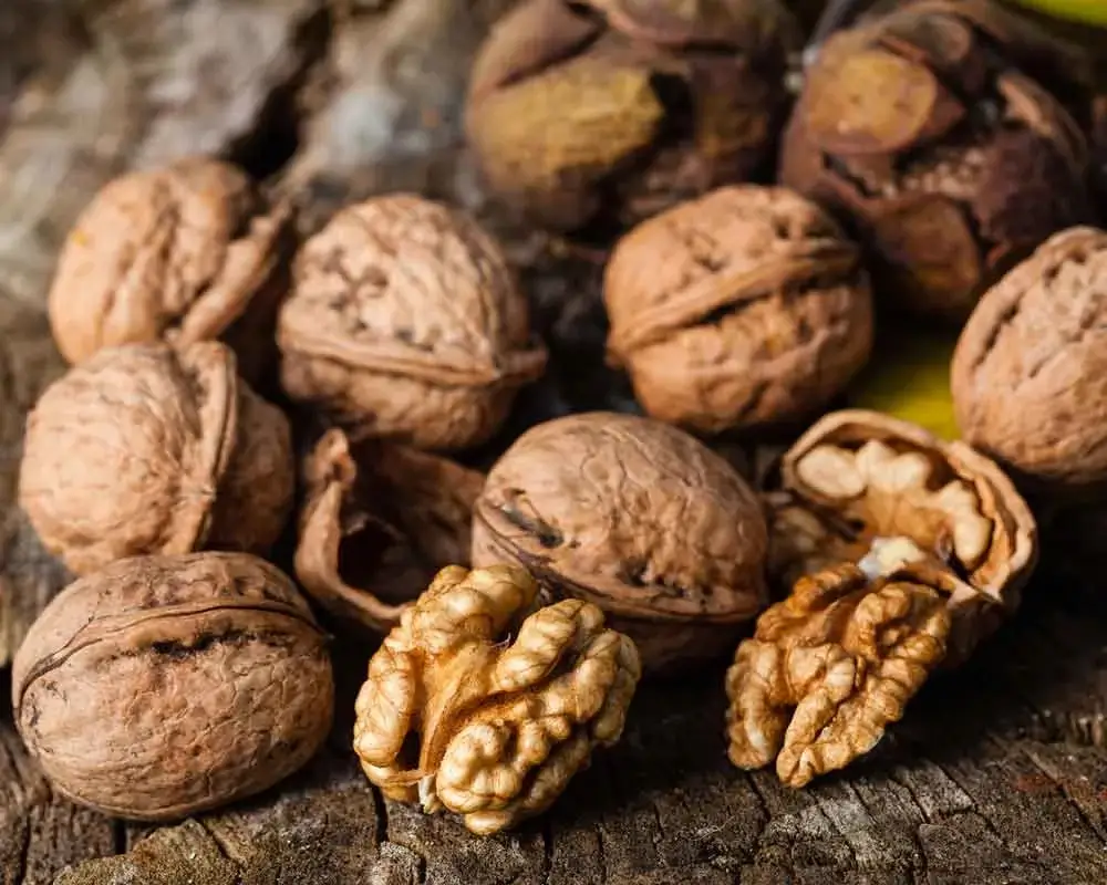 مصرف گردو و زنیان برای کلیه