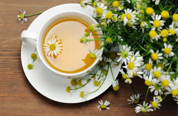chamomile-health-effects