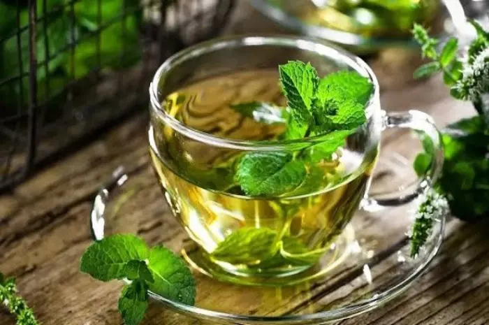 چای نعنا برای معده