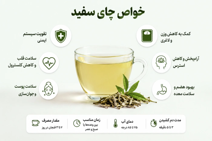 چای سفید در طب سنتی