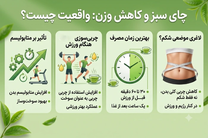 فواید چای سبز برای لاغری شکم و پهلو